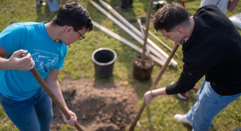 Zöldbe borult az utca: barcsi diákok mutattak példát az egész városnak