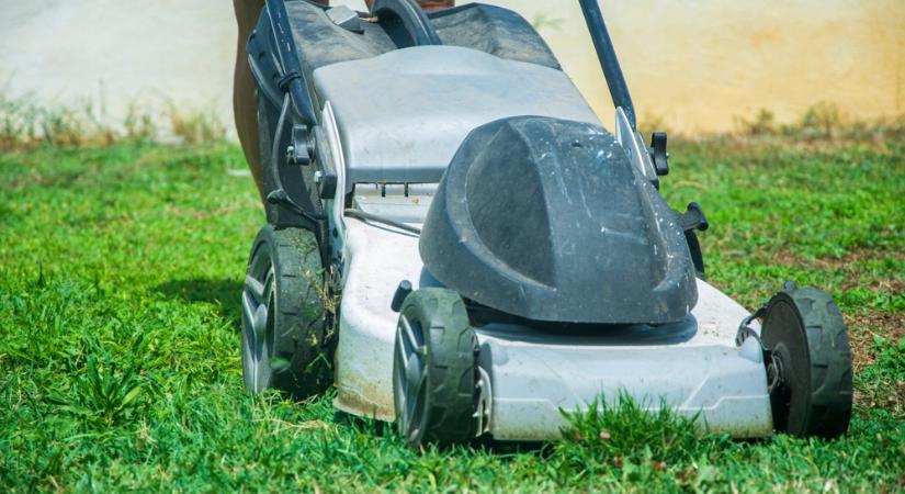 A kevesebb fűnyírás több kullancsot jelent - itt a tudományos állásfoglalás