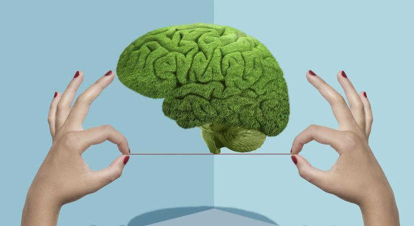 Neurofitnesz: ezek a pár perces gyakorlatok azonnal felfrissítik az agyat