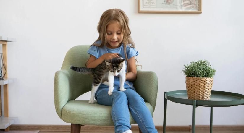 A lányok inkább a kisállatukban bíznak, mint a tanárukban