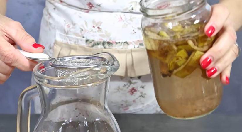 Egy elfeledett régi kertésztrükk: pontosan ettől lesz olyan hatalmas és csodaszép a paradicsom meg a paprika – videó