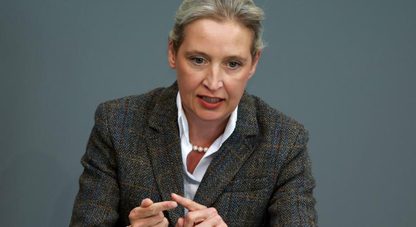 Tovább erősödött az AfD pozíciója