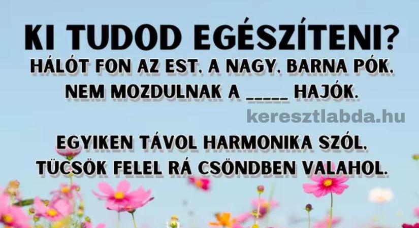 Napi irodalom feladat: Tiszai csönd, kötelező volt, de tudod, milyen hajók pihennek benne?
