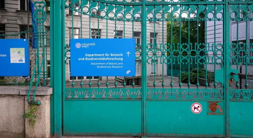Visszamondták Ausztria egyik legismertebb matematikusának kitüntetését, mert nem osztja a genderideológiát
