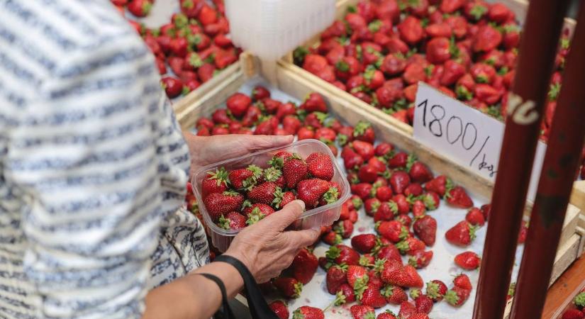 Fordulópont előtt a hazai eperpiac: napokon belül letörheti az árakat a szabadföldi termés – ennyibe kerül most egy kiló eper