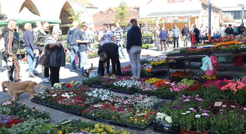 Erre a zalai piacra ki lehetett volna tenni a betelt táblát – rengetegen felkeresték anyák napján (videó)