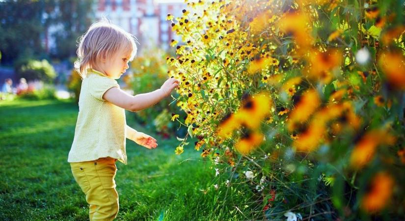 Nyáriasan indul a hét: 28 fokot és sok napsütést jósolnak hétfőre