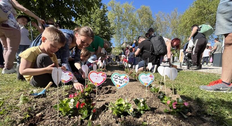 Földbe tették az anyák iránti szeretetet kifejező virágokat