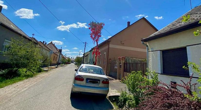 Tessék bizonyíték: Kaposváron nem halt ki a szerelem, sőt dübörög, mint egy rinocérosz!