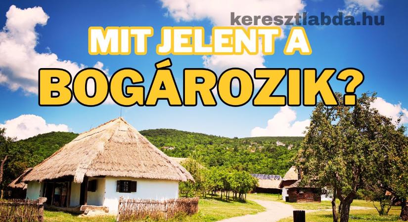 Tájszólás feladat: Tudod mit csinál, ha valaki bogározik?