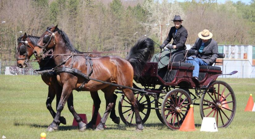 Fogathajtókkal majálisoztak Bélapátfalván