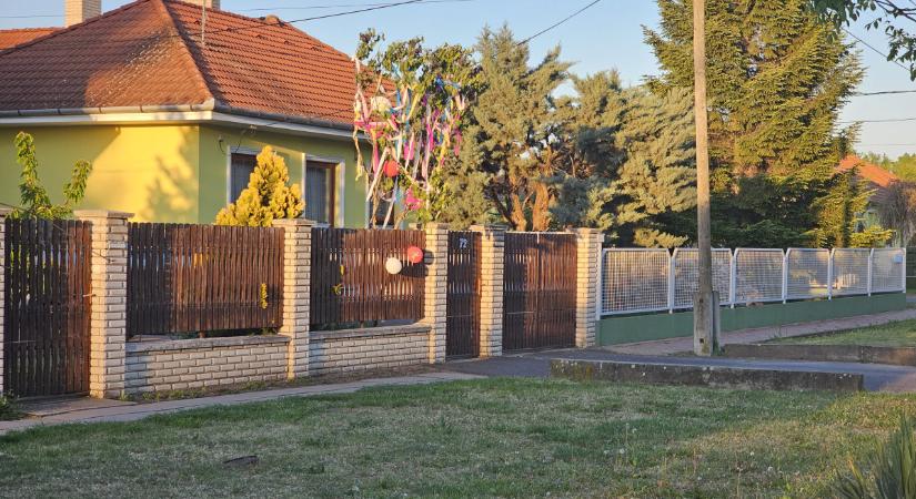 Májusfák Debrecenben és Hajdúszoboszlón: így kedveskedtek mátkáiknak a szerelmes hajdú-bihari férfiak