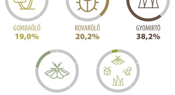 Agrárközgazdasági Intézet: mérséklődött a növényvédőszerek forgalma tavaly