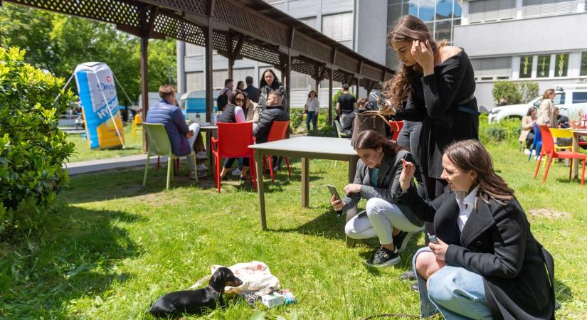 Inluenszermarketing-versenyt rendez a METU