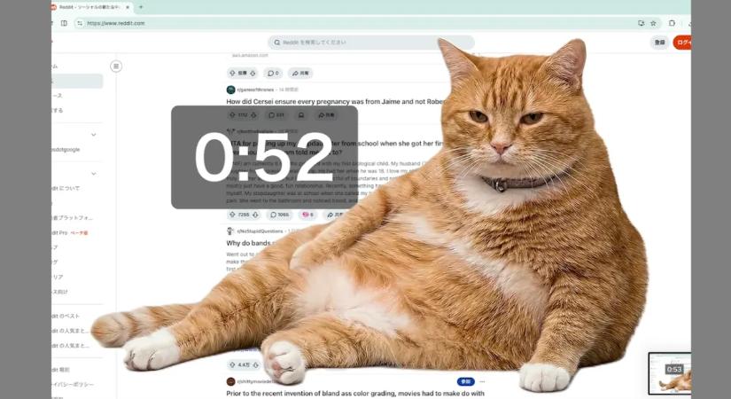 Ez a macska segíthet annak, aki túl sokat facebookozik