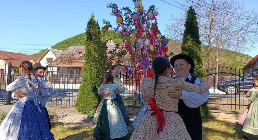 Májusfaállítás a Tulipán Tanoda hálózatában