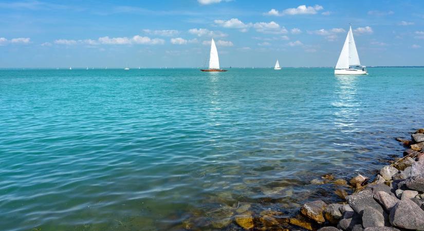 Delfinként ugrándozott egy őz a Balatonban