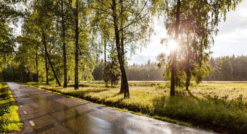Nyárias hétkezdet után zivatarral érkezhet a várva várt eső?