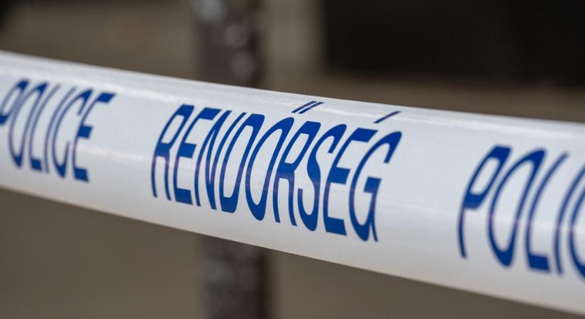 Lőtt sebbel, bezsákolva találtak egy koponyát Isaszegnél, nem tudják azonosítani