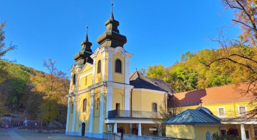 Csoda Nógrádban: nem akárhol fotózták le a hófehér csodaszarvast