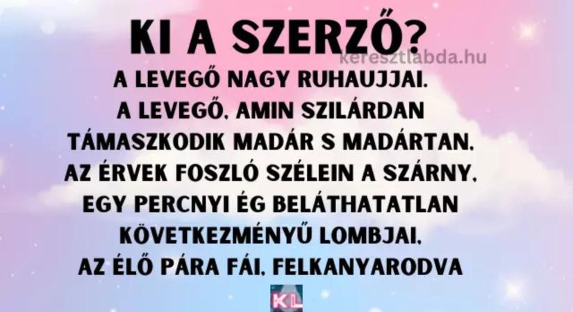 Napi irodalom feladat: „A levegő nagy ruhaujjai” – tudod, kinek a tolla rejtőzik mögötte?