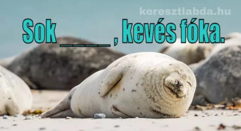 Napi közmondás feladat: Sok az …, kevés a fóka – de ki is ez a „sok”?