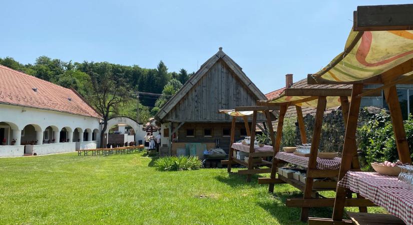 A bölcsek a Bakonyban kávéznak, és lenyűgöző, mi mindenre hívnak még mindannyiunkat