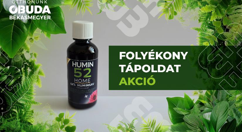 Ápoljuk szakszerűen növényeinket – Folyékony tápoldat akciót hirdetünk
