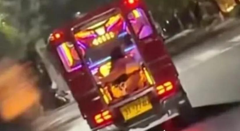 Orálisan kényeztette a párját egy nő a mozgó tuktukban – kitoloncálták őket Thaiföldről – videó