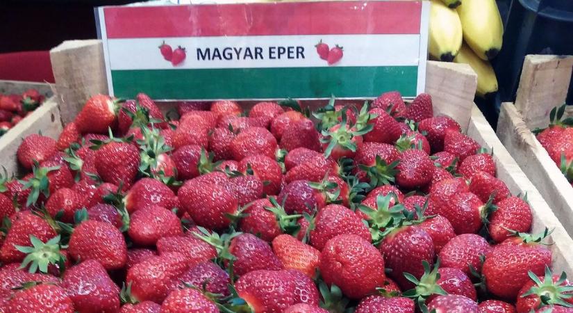 Razziáznak az eperstandoknál – ezt most nagyon figyelik, és komoly bírság jöhet