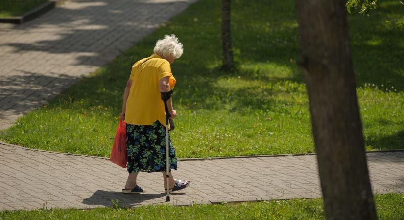 Hazáig követte idős áldozatát a kiskunhalasi tolvaj