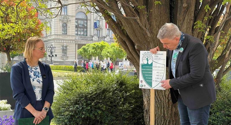 A fa érték! táblákat avattak Szombathelyen - Akár százmillió forintot is érhetnek a városi fák