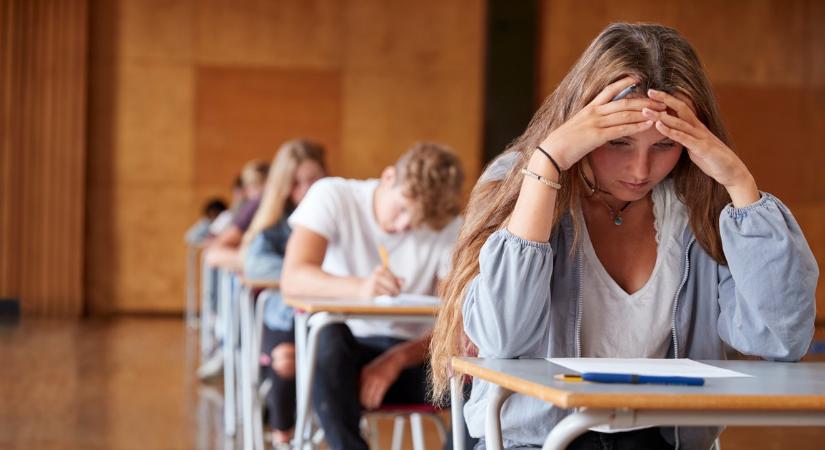 Most érkezett: ezek az idei magyarérettségi feladatai