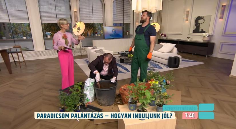 Így építs magaságyást – lépésről lépésre mutatja Megyeri Szabolcs