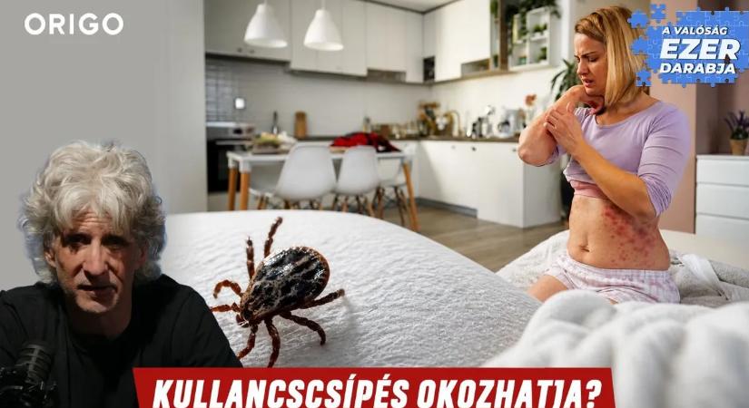 Allergiássá tesznek minket a húsra? Egy kullancscsípéssel??