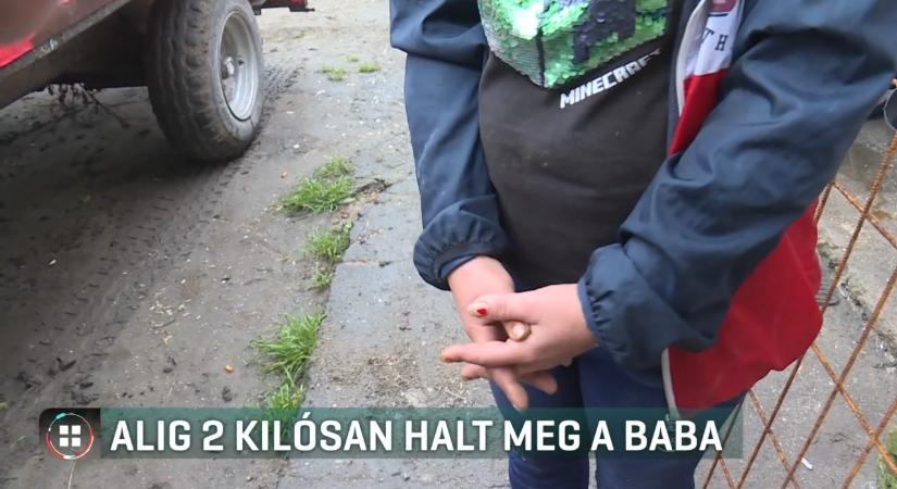 Alultápláltság miatt halt meg egy 5 hónapos baba – az anya nem ismerte be bűnösségét