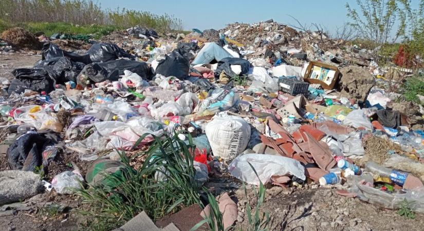 Illegális hulladéklerakó keseríti meg a bácsföldváriak életét