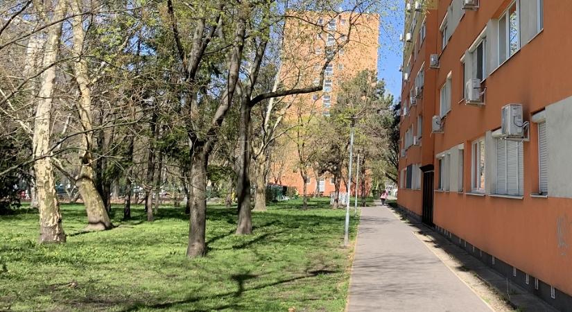 Duna House: alacsonyabb fokozatra állt be áprilisban a lakáspiac