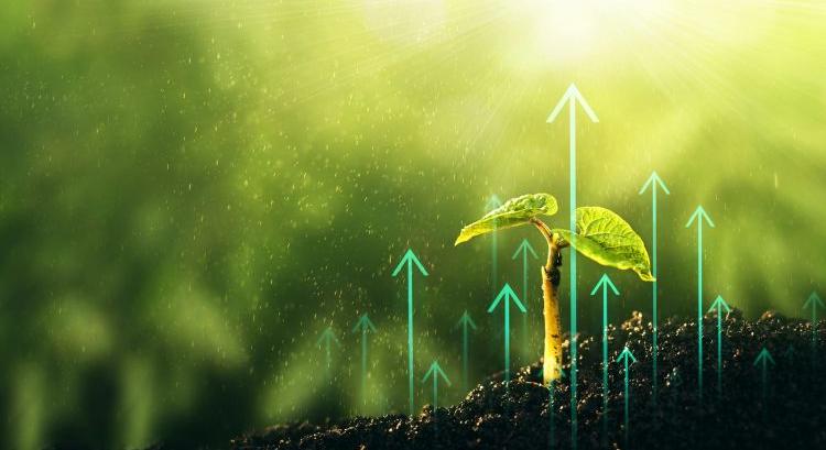 Tízből nyolc agrárcég bajban van