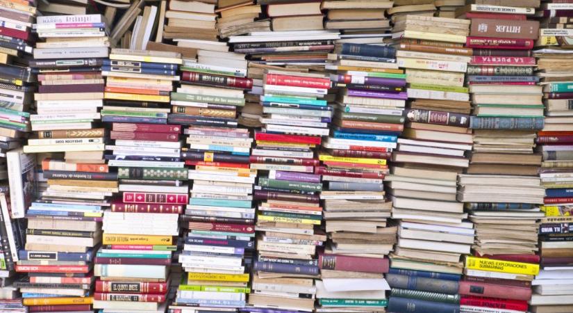 Kvíz: mennyire emlékszel az általános iskola kötelező olvasmányaira?