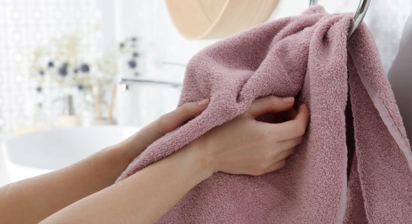 Soha ne akaszd ide a törölközőt – ellepik a baktériumok
