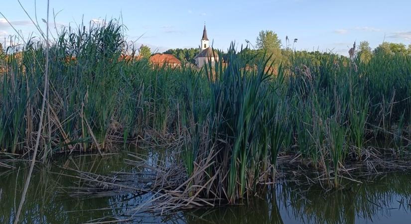 Kis híján megfeneklett a csónak