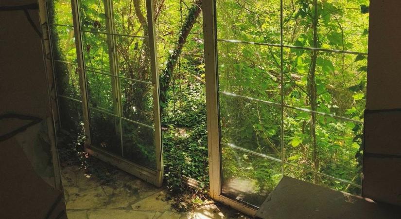Balatoni hotelből szellemhely – így pusztult le az egykori üdülőparadicsom