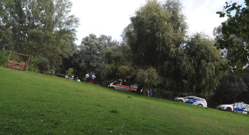 Döbbenet: eltűnt három pécsi kislány, vélhetően testvérek – a legfiatalabb mindössze 5 éves!