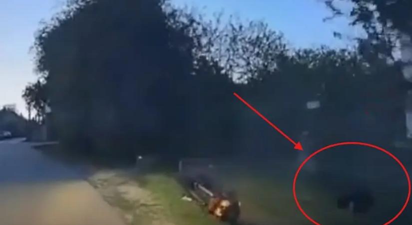 A rendőrök szeme láttára esett az árokba a motoros! Figyeld, mi történt ez után!