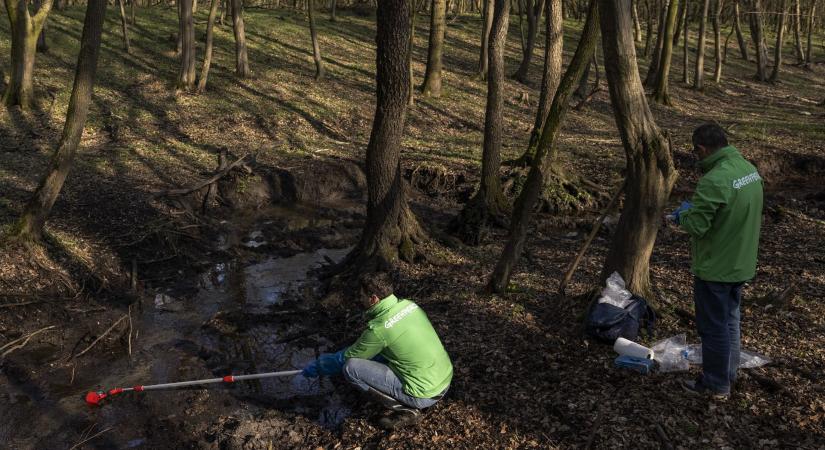 Rákkeltő anyagokat és egyéb mérgeket találtunk a Greenpeace-szel a Mészáros Lőrinc cége melletti patakban