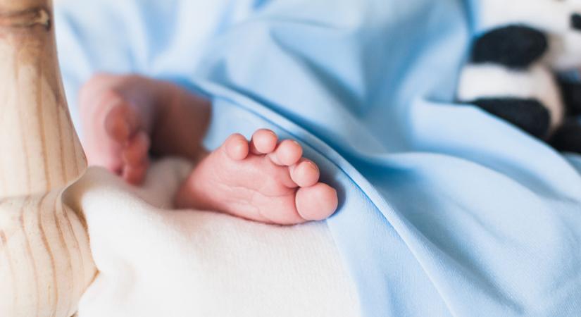 Meglepetést hozott a gólya: egy negyedik baba is megbújt az édesanya pocakjában