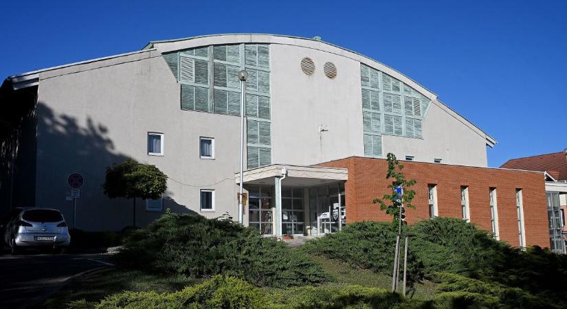 Macskakiállítás miatt költöznek a kézilabdázók