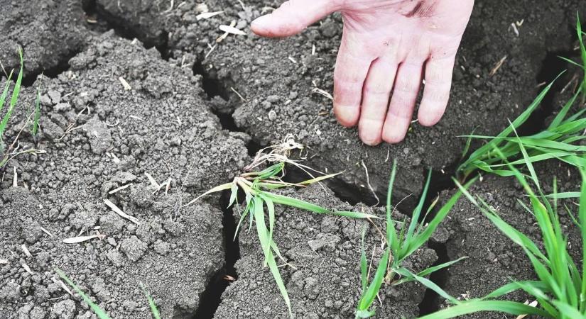 Vége a brutális aszálynak? Megjön a várva várt eső – de nem úgy, ahogy gondolnád!