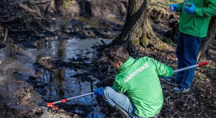 Súlyos szennyezést mért a Greenpeace a Vértesben